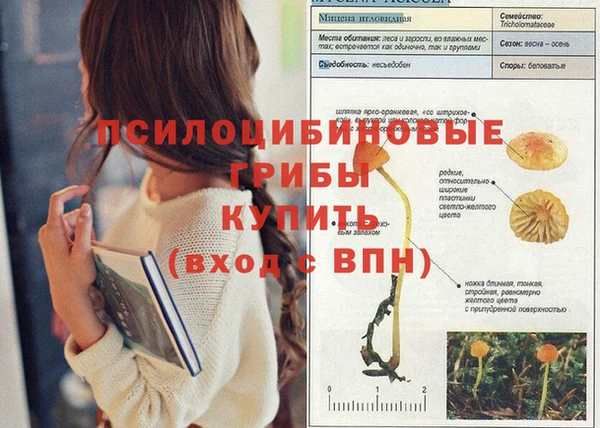 наркотики Приозерск